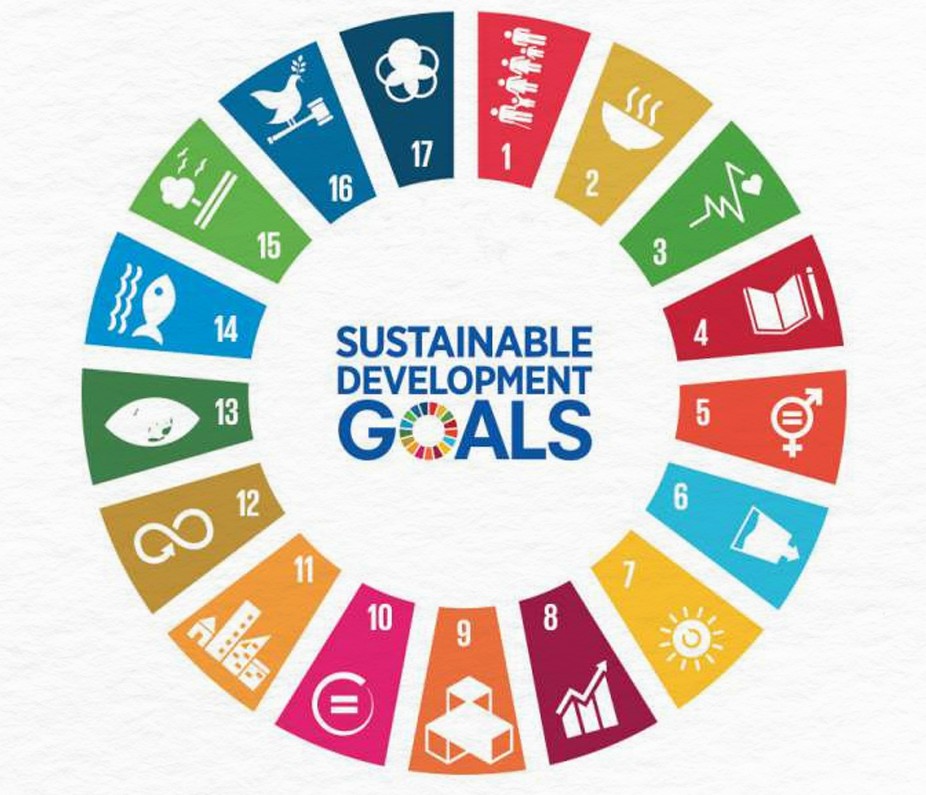 UN Sustainable Development Goals wheel